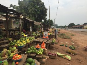 IMG_8077