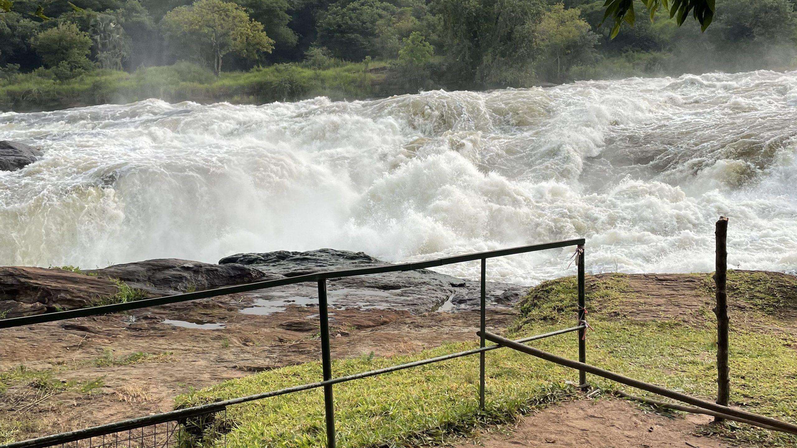 Murchison Falls and Chimpazee trekking sounds like an exciting tour